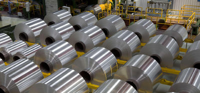 Shandong Hongxin International Trade Co., LTD. कारखाना उत्पादन लाइन