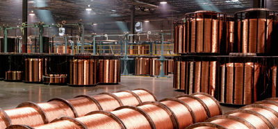 Shandong Hongxin International Trade Co., LTD. कारखाना उत्पादन लाइन